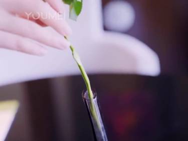 [YouMei尤美]视频 天生魅种 绯月樱-Cherry